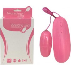 VİBRATİNG EGG